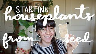 Starting Houseplants From Seed | The whole 4 month journey!