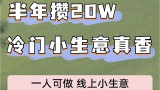 2023灰产网赚项目 赚钱最快的方法 分享一个月入十万轻资产快速赚钱的创业项目