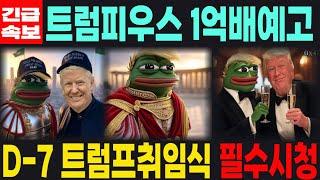 [트럼피우스막시무스 밈코인] 긴급속보 1억배예고 D-7 트럼프 취임식 필수시청 코미녀