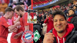 HARRY KANE DOPPELPACK ️ + krasse MUSIALA SKILLS  | FC Bayern München vs. Werder Bremen | CedrikTV