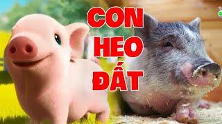 Con Heo Đất, Con Lợn Éc, Chú Ếch Con ️ Nhạc Thiếu Nhi Hay Sôi Động Hấp Dẫn Cho Bé Năng Động