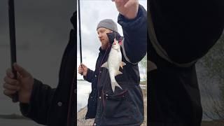 Ловим плотвичку #fishingholidays #рыбалка #вобла