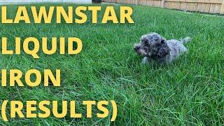 Lawnstar Liquid Iron (Results)