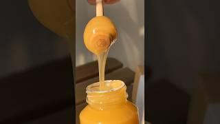 Daily Honey by Jungle House #honey #junglehouse #malaysia #kualalumpur #eater #dayinmylife #vlog