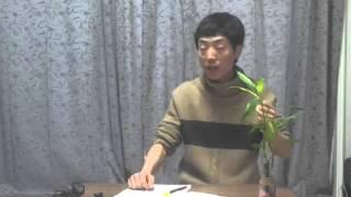 [뉴씨드아카데미-바로알기] 일천번제의 진정한 의미와 현 시대 일천번제의 문제점 - 이요셉