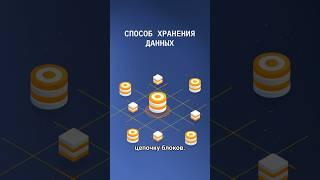 Блокчейн и его перспективы #разработка #блокчейн