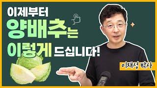 양배추의 유익을 제대로 누리는 4가지 방법