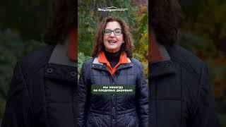 Как правильно обрезать плодовое дерево: 3 правила обрезки  / Мария Винокур Strogoorganic