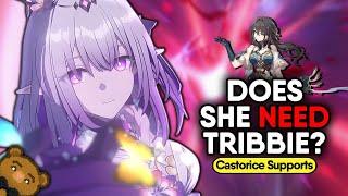 The BEST Supports and Builds for Castorice ! Honkai: Star Rail 3.2 Team Guide
