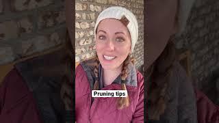 Plant Pruning Tips #pruning #gardentips #howtogarden