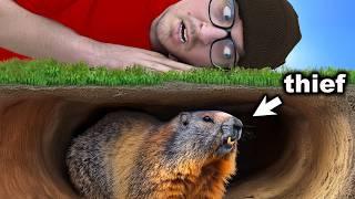 I Hunted This Groundhog For An Entire Year!