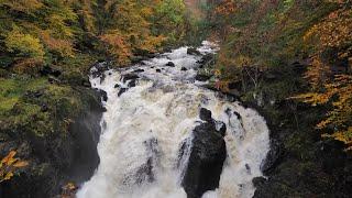 The Hermitage River Walk, Dunkeld, Scottish Countryside 4K