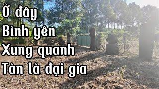 Anh Vũ không kham nổi tài chính đành bán mảnh vườn đang đầu tư tại bà rịa vũng tàu giá hợp lý