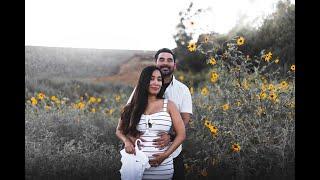 Pregnancy Announcement/Gender Reveal