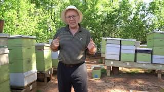 Пасека#48 How To Split A Bee Nucleus To Sell (English version)