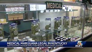 Medical marijuana card applications are now open in Kentucky. Here's what to know