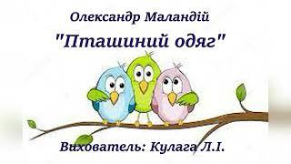 Олександр Маландій "Пташиний одяг"