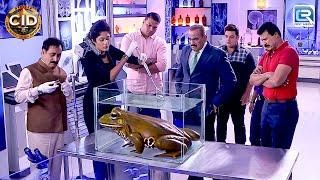 एक Giant Frog ने किया CID Team को गुमराह | CID | Crime Series | Full Episode HD