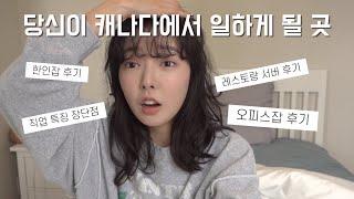 캐나다 워홀 후기 | 직업 별 장단점, 레스토랑 선별 팁, 서버 후기, 오피스잡 후기