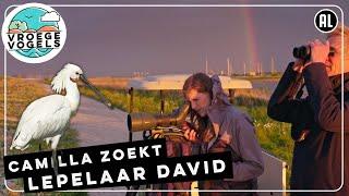 Camilla Dreef telt de lepelaars op de Marker Wadden | TV | Vroege Vogels