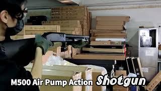 AGM M500 air pump auction shotgun