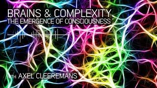 Brains and Complexity: the Emergence of Consciousness with Axel Cleeremans