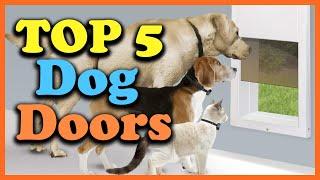 Top 5 Best Dog Doors of 2023