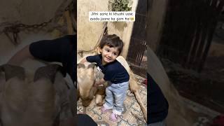 ️ #youtubeshorts #shorts #trending #trendingshorts