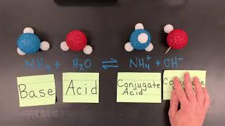 Brønsted-Lowry Conjugate Acid-Base Pairs