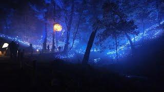 Aquavia Lumina [4K] Wisconsin Dells | Incredible Nighttime Light & Music Experience Full Walkthrough