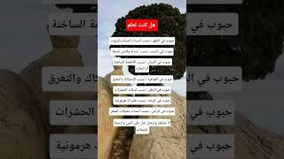 معلومات مهمة #معلومات_مفيدة #ستوريات #اكسبلور