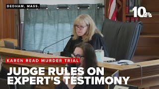 Judge in Karen Read trial rules on what crash reconstruction expert can say in testimony