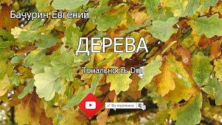 Песня Евгения Бачурина. Дерева. Тональность Dm.