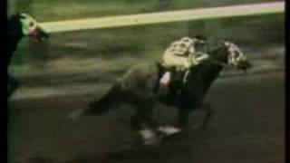 SECRETARIAT - 1972 Saratoga Allowance (2nd Win)