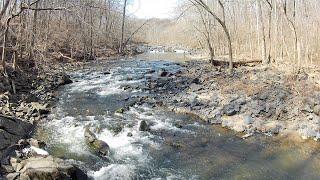 Trout Fishing Little Patuxent River, Maryland