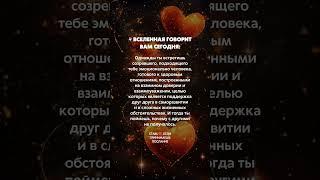 Однажды ты встретишь созревшего, подходящего тебе эмоционально человека