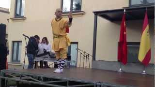 SHAOLIN KUNG FU-QI XIE