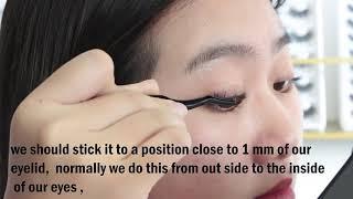 DIY LASHES-Segmented Lashes