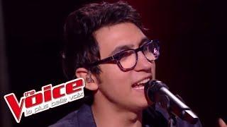 Vincent Vinel et Calogero - « Je joue de la musique » | The Voice 2017 | Live