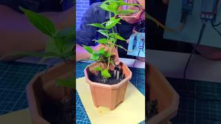 Making Plant feeder with Dc MotorAAutomatic #shorts #dcmotor #shortsindia