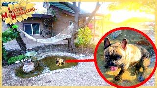 Creating a Dog-Friendly Pond in Our Courtyard | Monthly Peek Ep406
