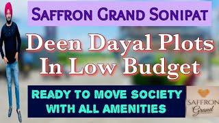 Saffron Grand Sonipat | कम Budget में Ready To Move Plots #delhi #sonipat #ddjay #plots #plot #sale