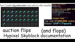 The lost art of auction flips (and flops) | A Hypixel Skyblock Documentary