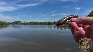 Chatterbait Fails to get the job done. Big Soft Plastics come through again!