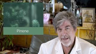 Asthma and Cannabis Use