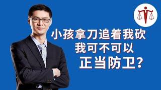 小朋友拿刀追着我砍，我能不能直接反击？| 罗翔说刑法