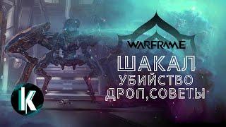 🟡│Убийство Шакала. Награды, Советы, Процесс [Warframe - Video]