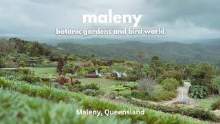 Spending a day at MALENY BOTANIC GARDENS AND BIRD WORLD | Maleny, QLD