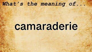 Camaraderie Meaning : Definition of Camaraderie