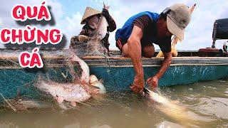 Gọi Viện Binh Khi Đụng Độ Bầy Cá Lớn , Con Nào Con Nấy Bự Chảng | #66TV #fishing